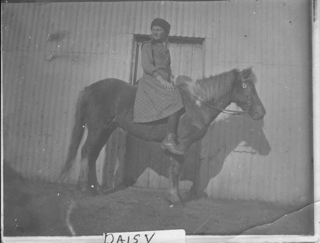daisyonhorse.jpg